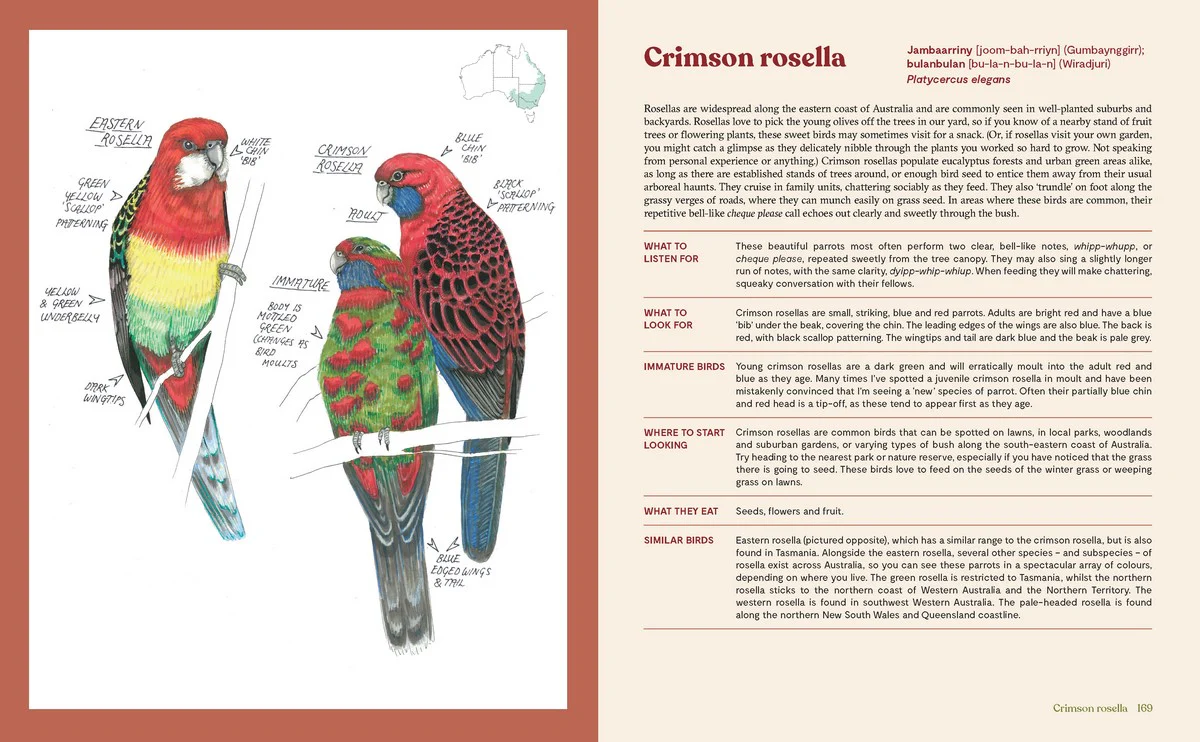 100 Australian Birds - Image 2