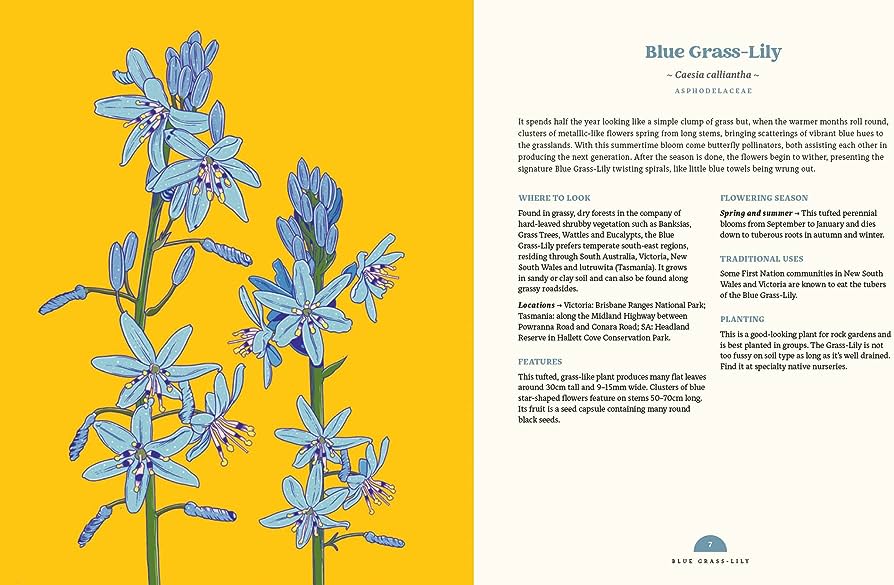 100 Australian Wildflowers - Image 2