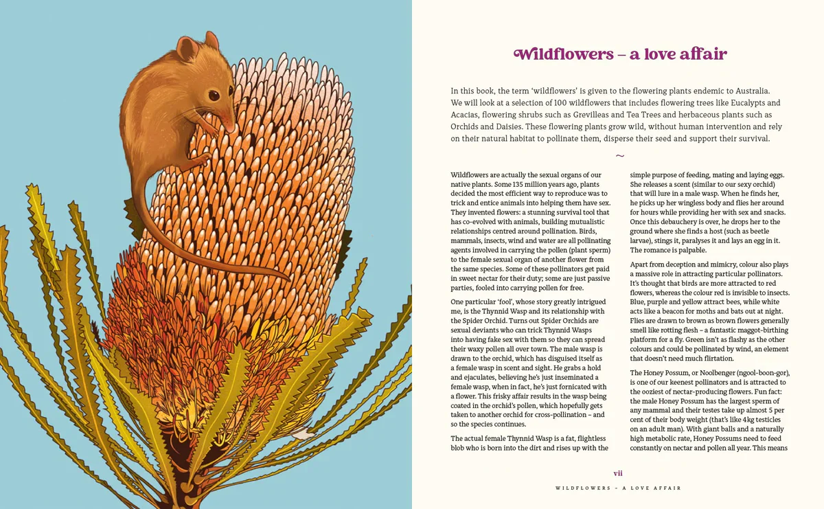 100 Australian Wildflowers - Image 3