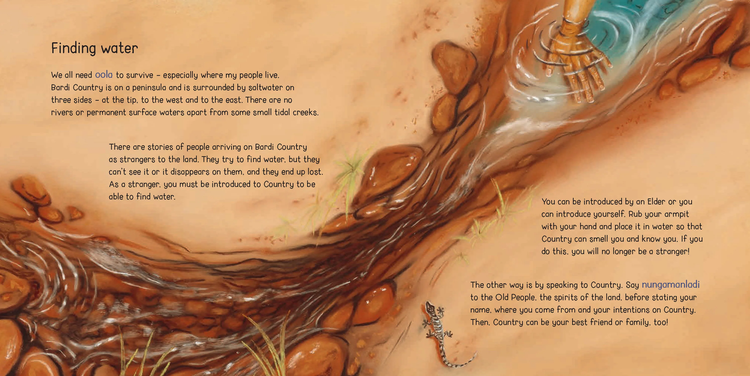 Ask Aunty: Bush Survival Skills - Image 3