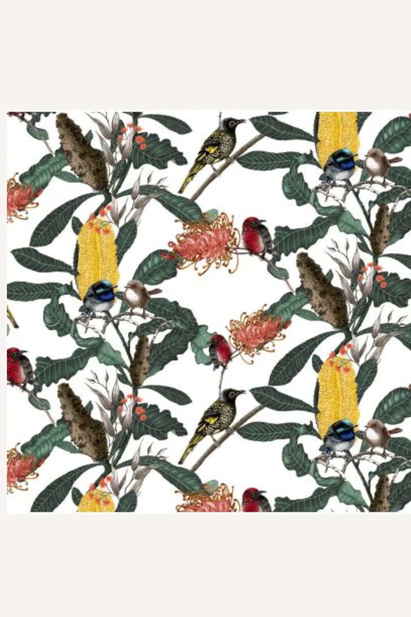 Banksia Medley Square Greeting Card