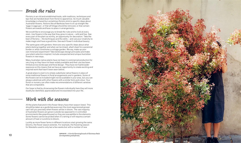 Bush Flowers - Image 3