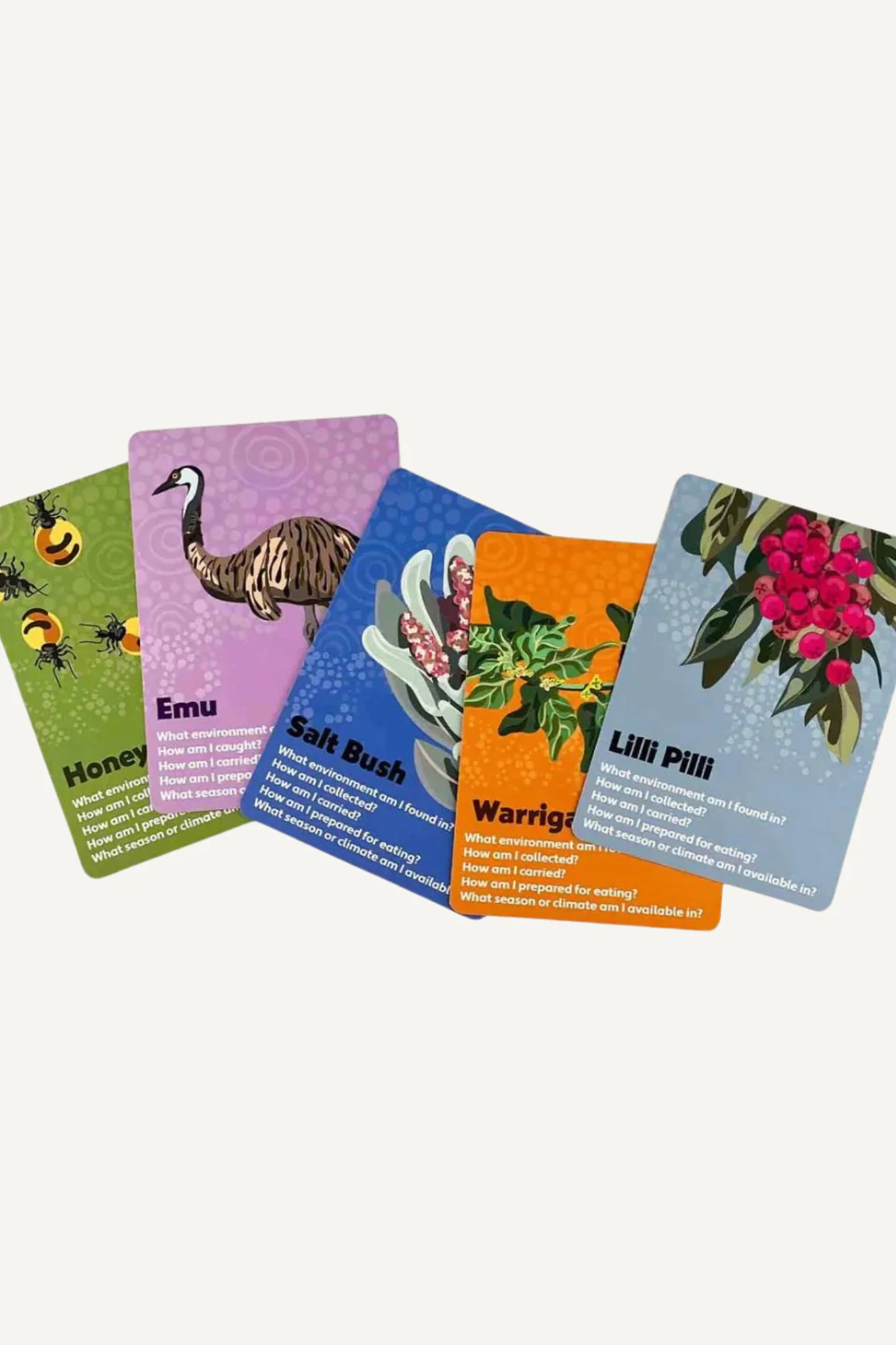 Bush Tucker Research Cards - Image 2