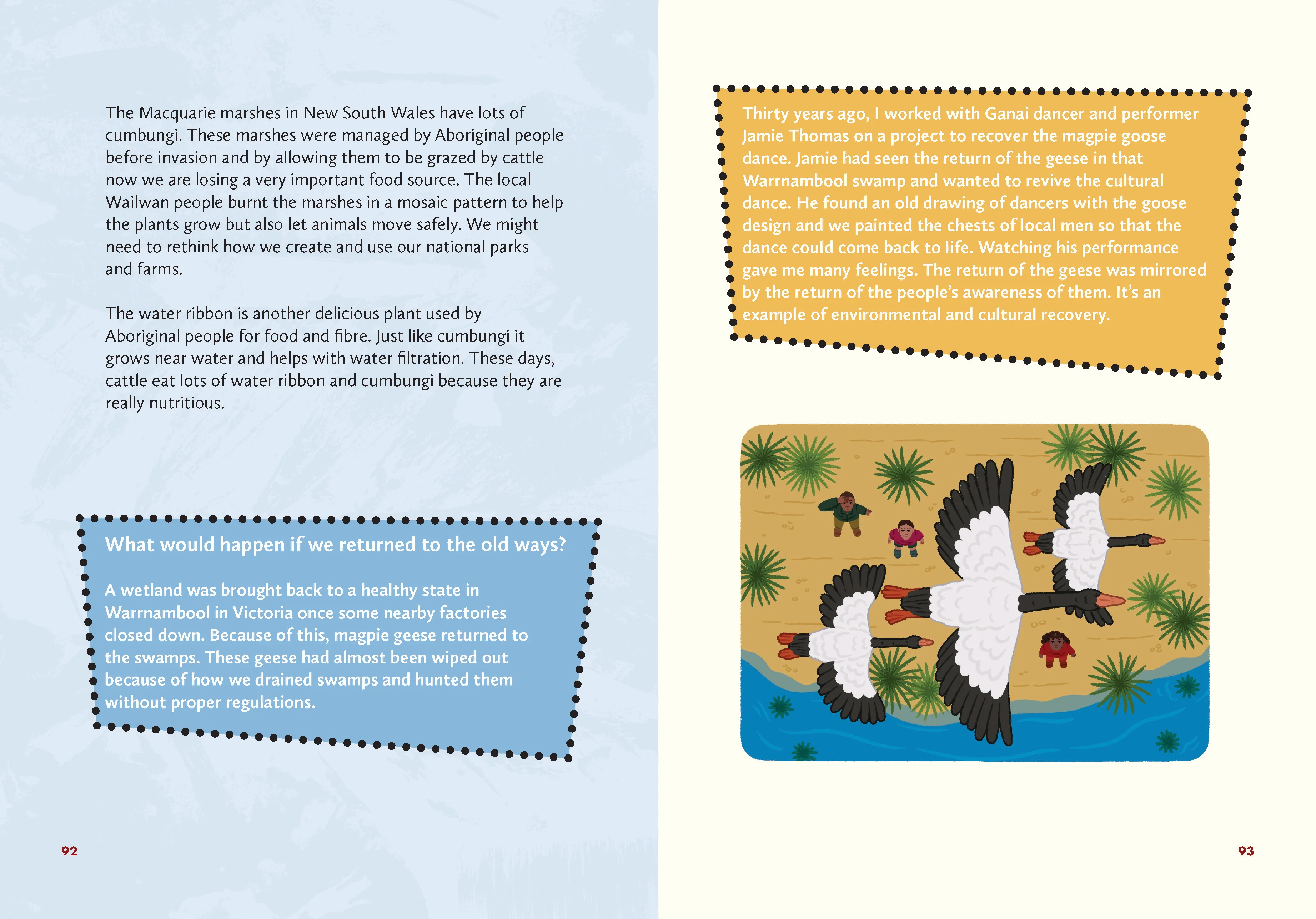 Caring for Country: First Knowledges for younger readers - Image 2