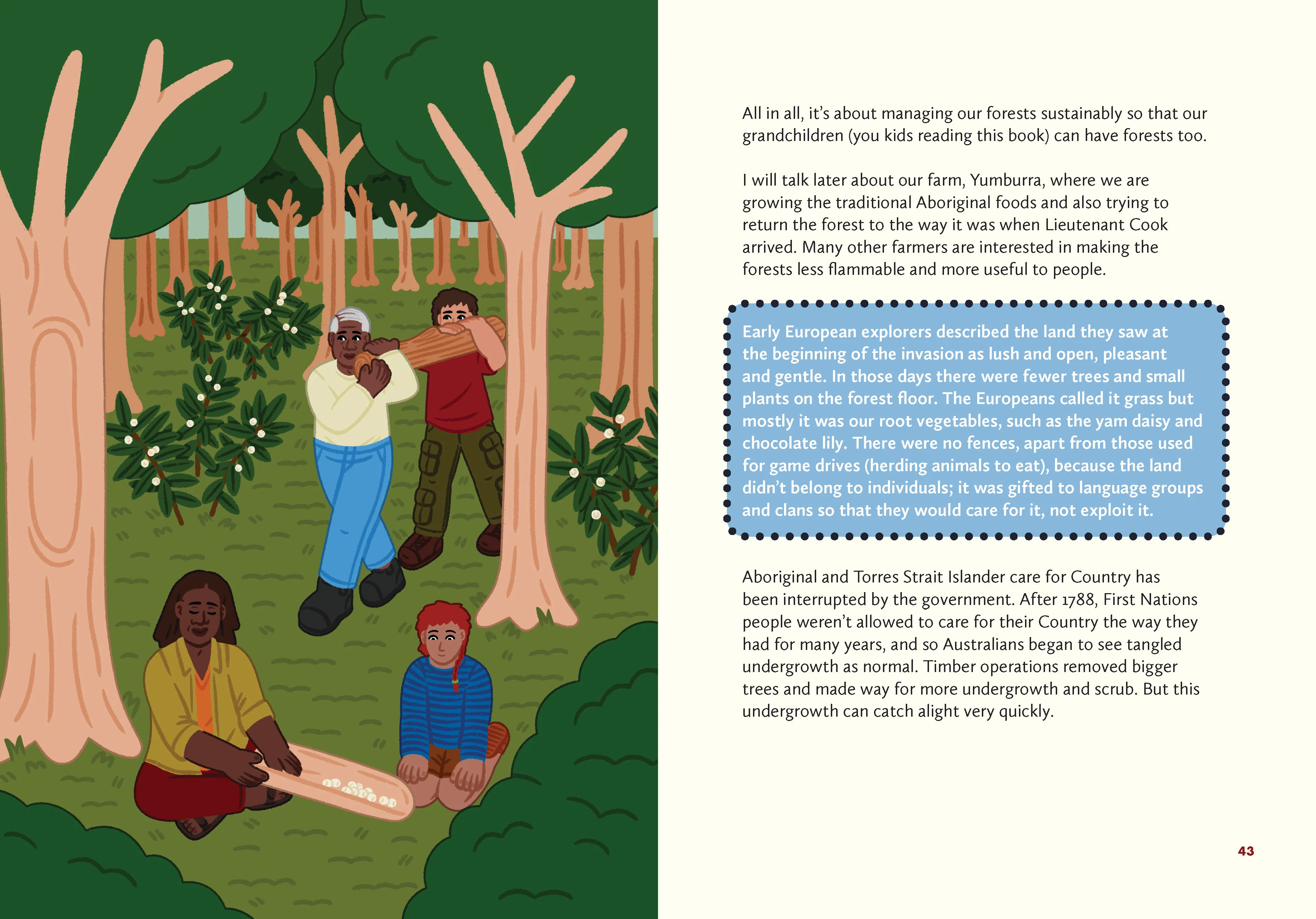 Caring for Country: First Knowledges for younger readers - Image 4