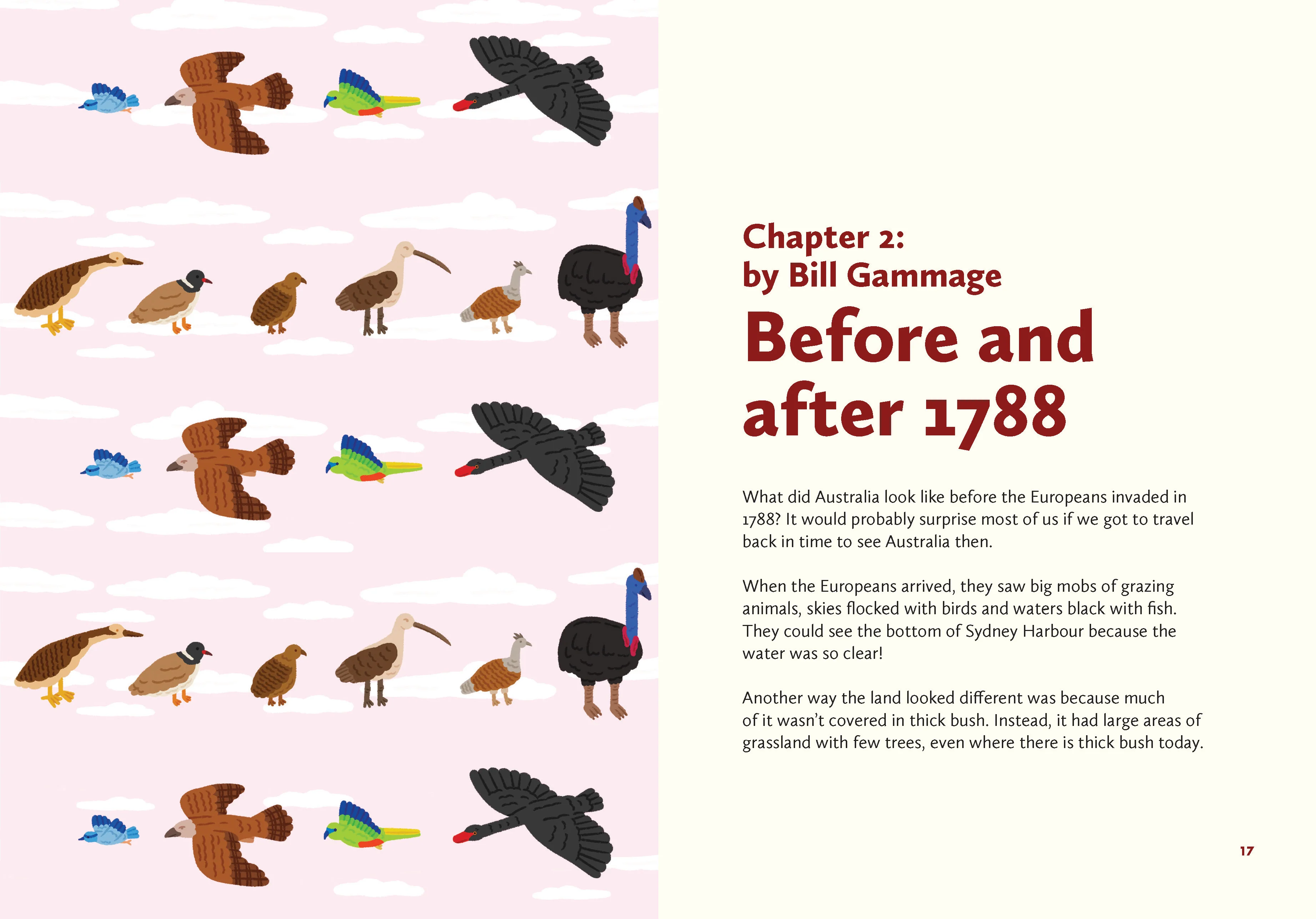 Caring for Country: First Knowledges for younger readers - Image 5