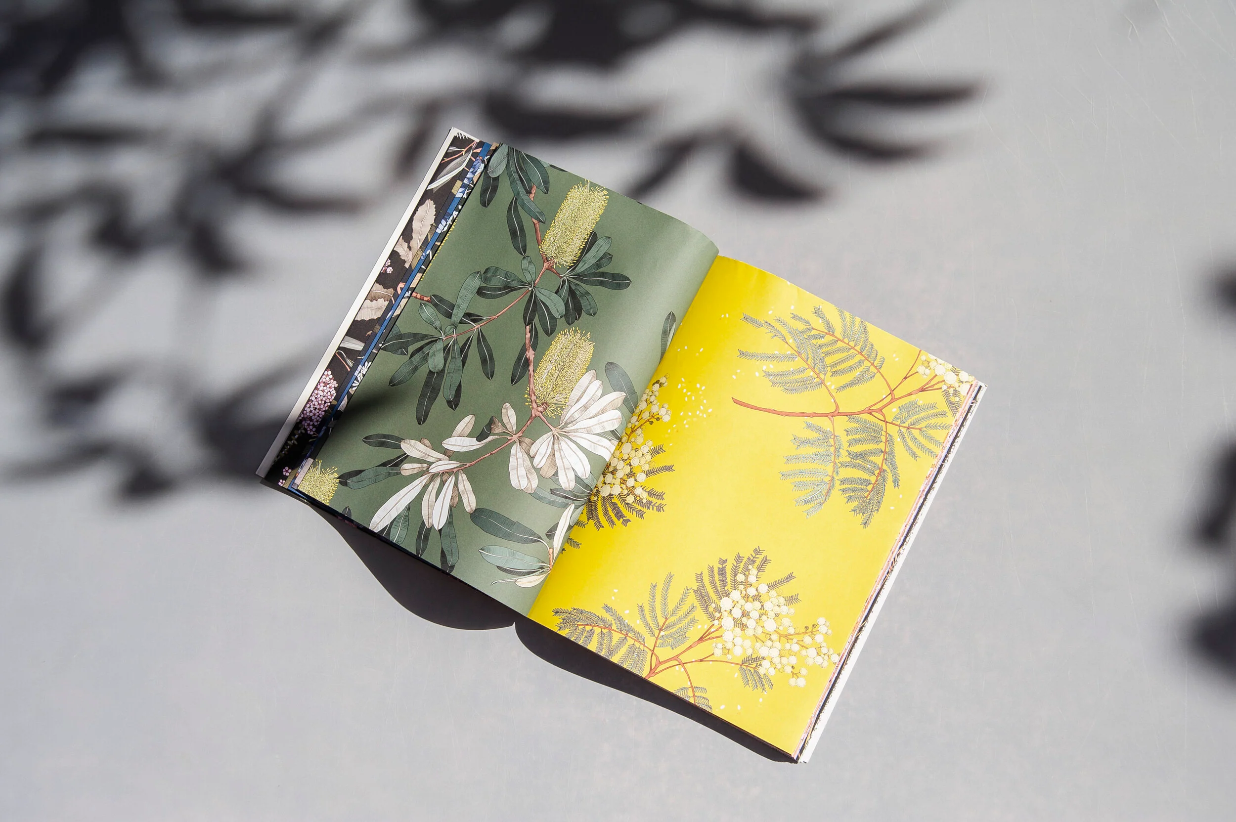 Botanicals by Edith Rewa: A Wrapping Paper Book - Image 2
