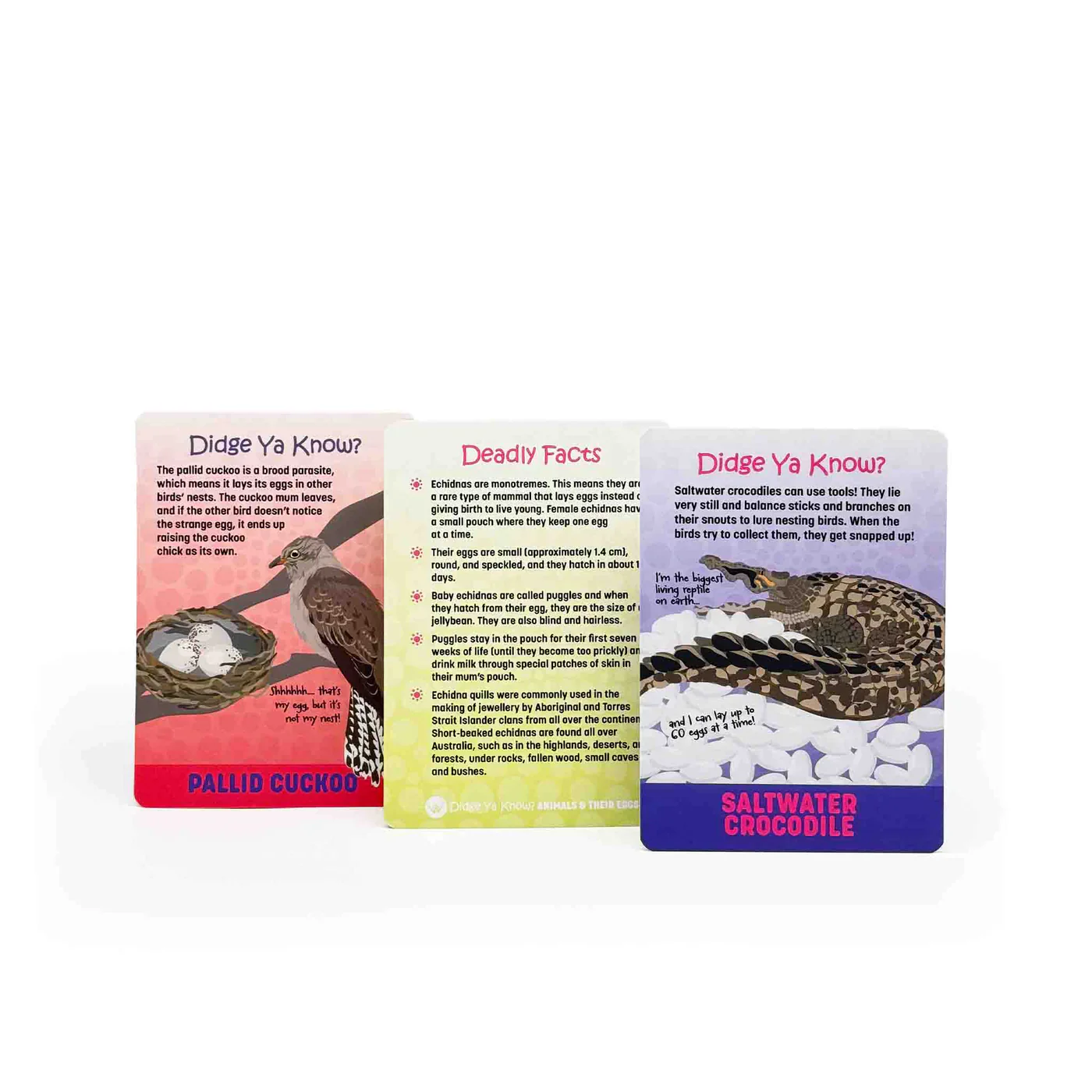 Didge Ya Know? Animals and their Eggs Information Cards - Image 2