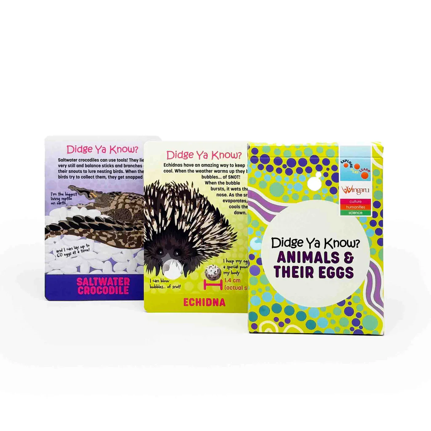 Didge Ya Know? Animals and their Eggs Information Cards - Image 3