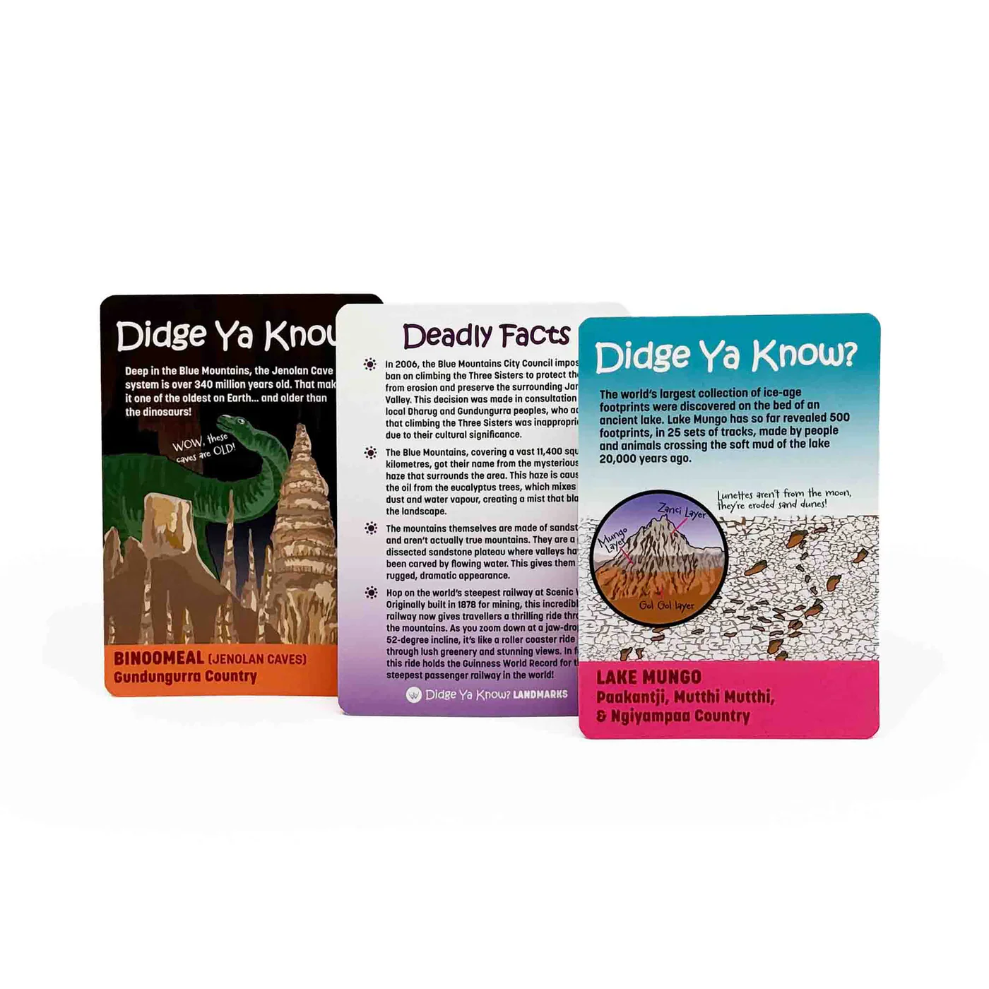 Didge Ya Know? Landmarks Information Cards - Image 3
