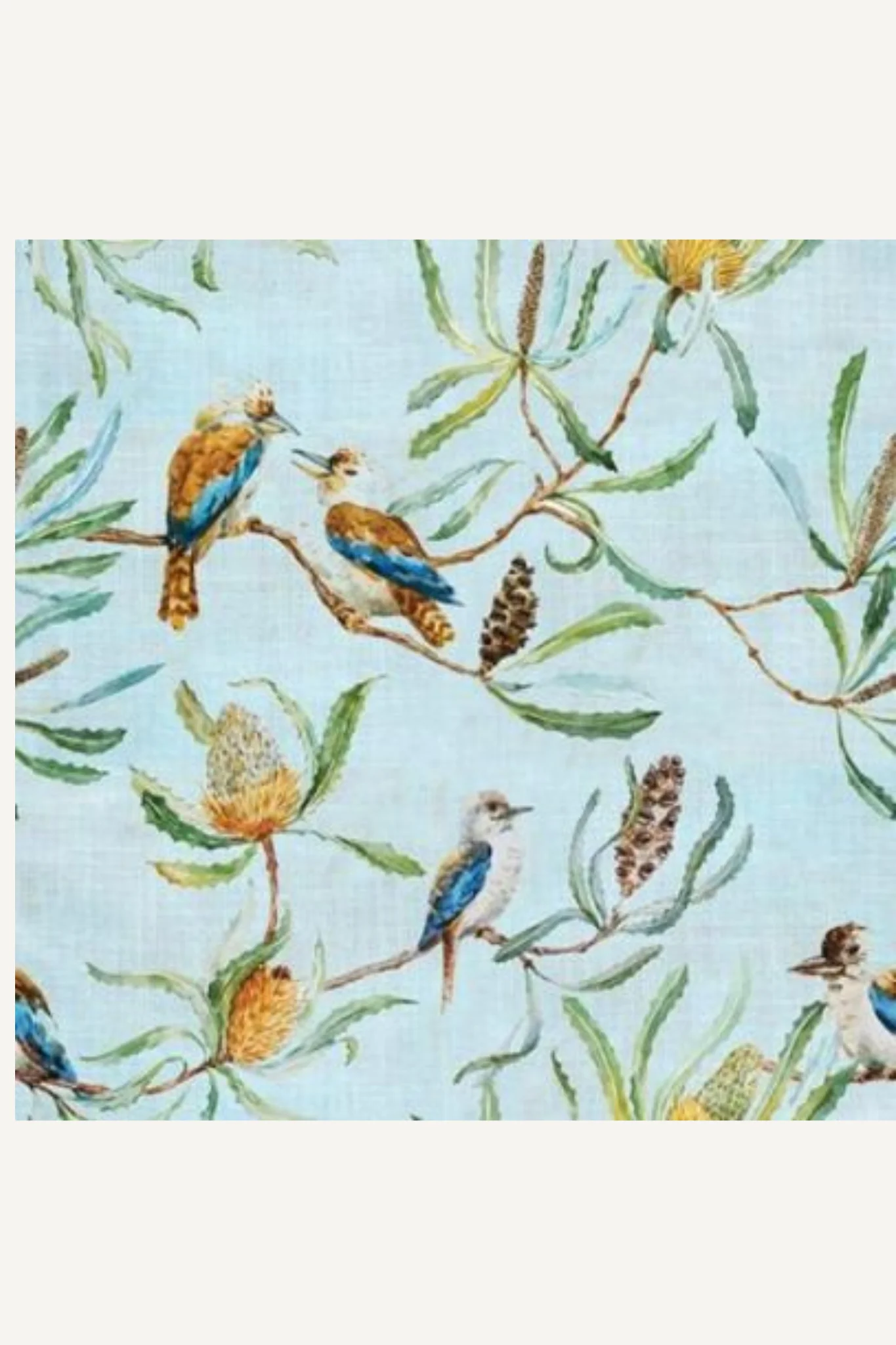 Flora and Fauna - Happy Kookas square Greeting Card