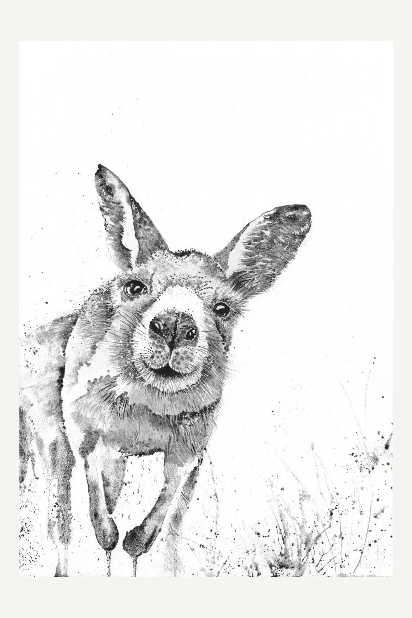 Greeting Card - Kangaroo Sketch