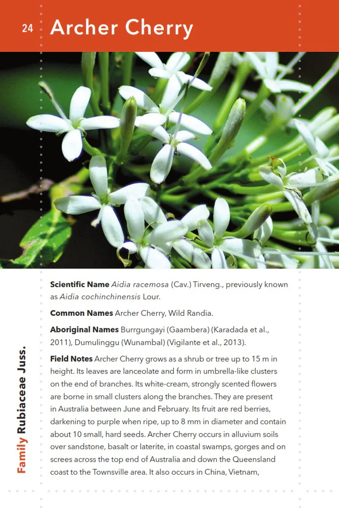 Kimberley Bush Food - Image 3