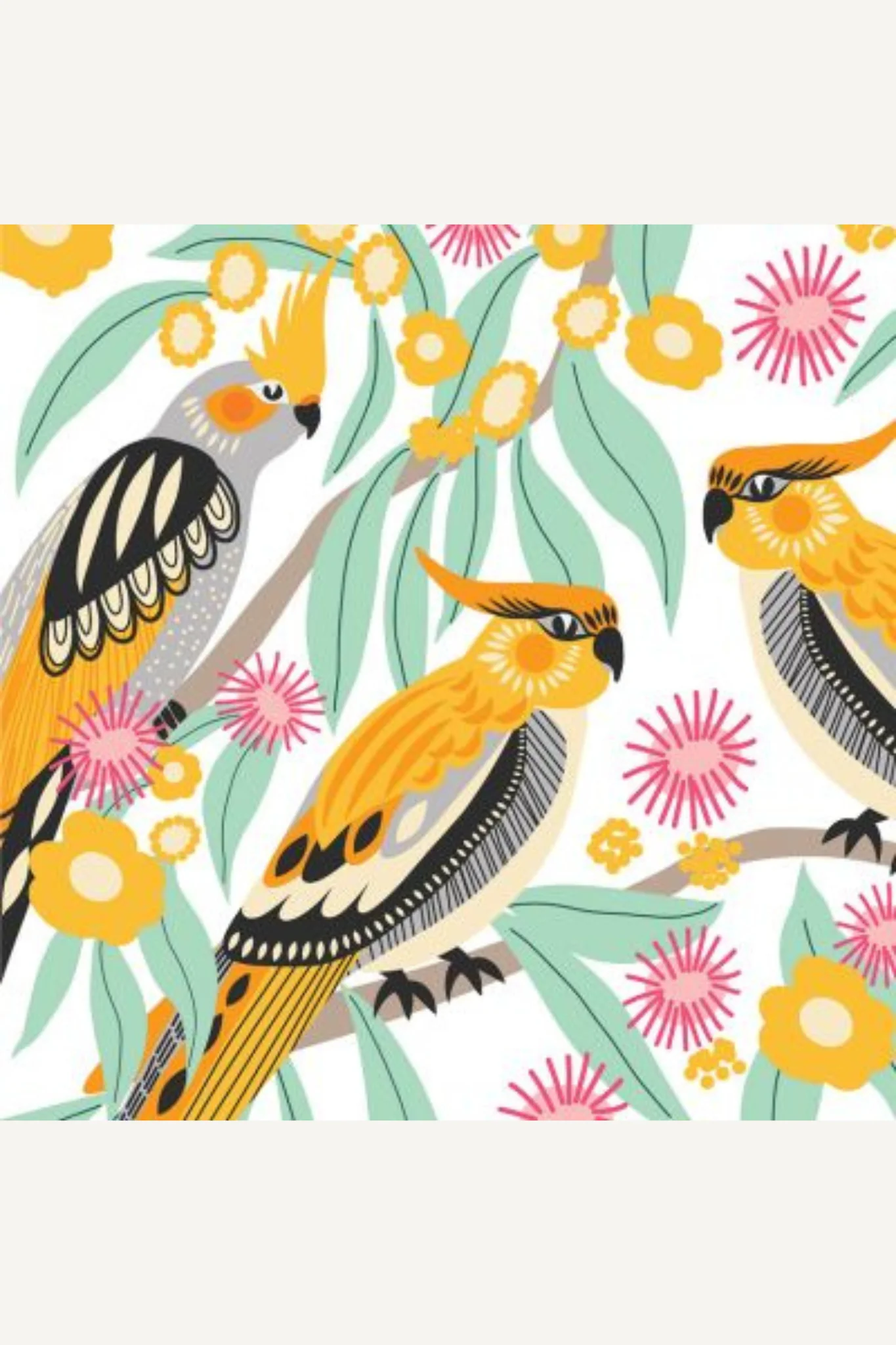 Mini Australian Birds Greeting Card