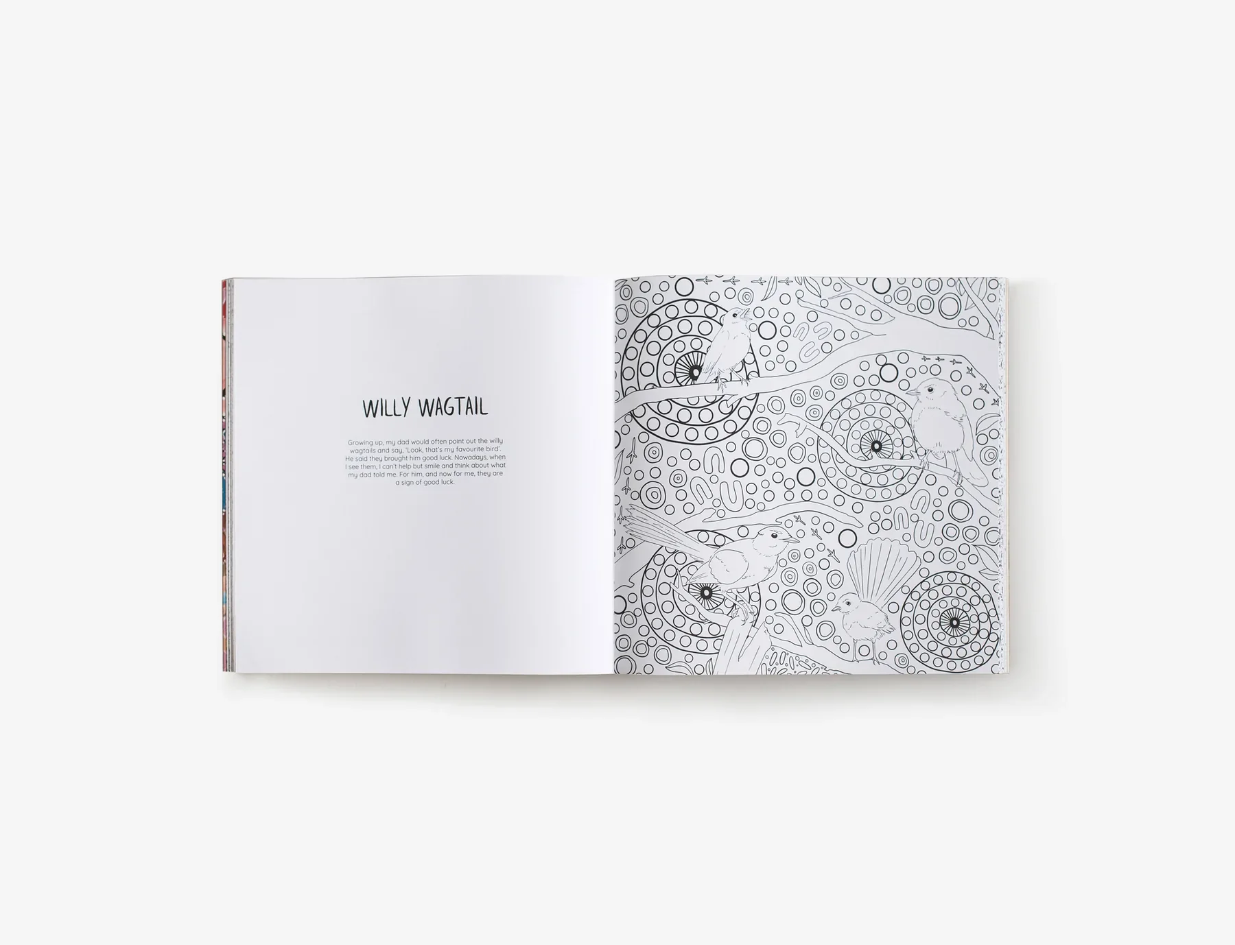 Mulganai: A First Nations Colouring Book - Image 5