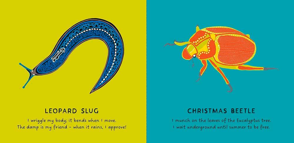 Our Bugs by Bronwyn Bancroft - Image 3