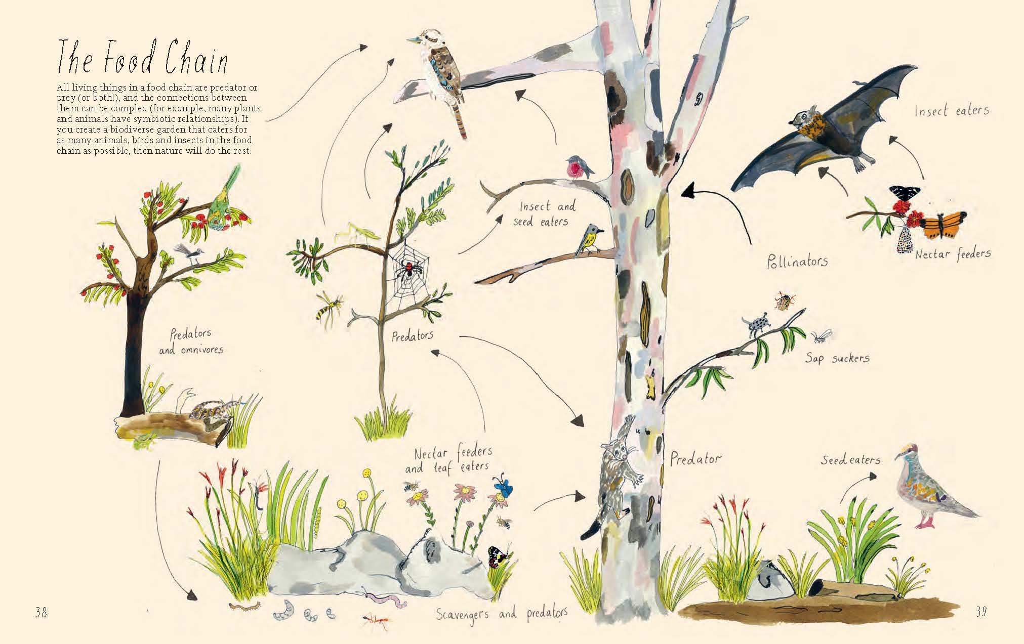 Planting for Native Birds, Bees and Butterflies - Image 2