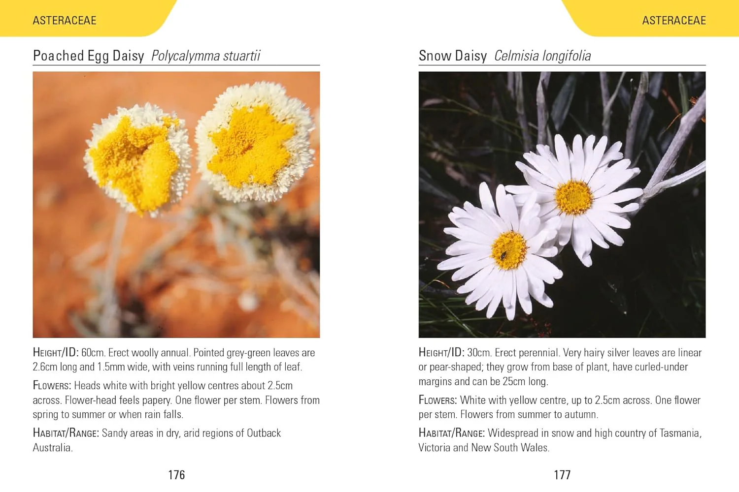 Reed Concise Guides: Wildflowers Of Australia - Image 3