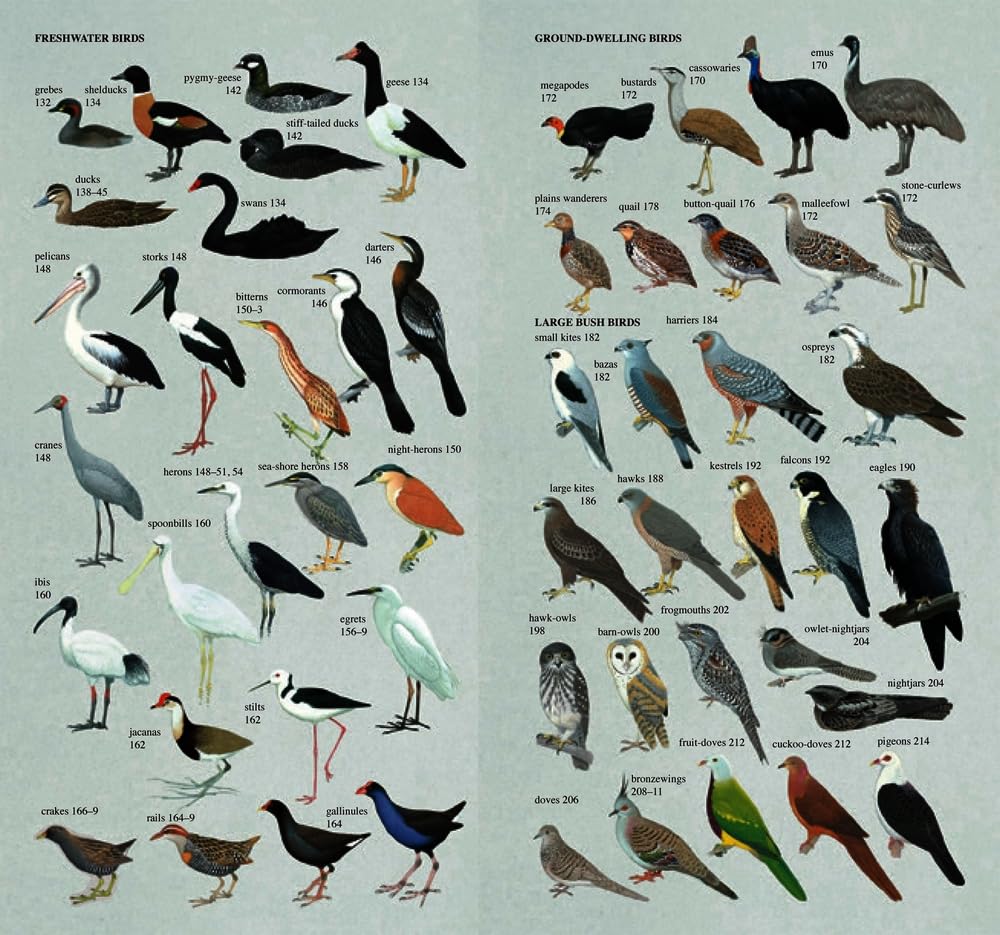 Slater Field Guide To Australian Birds Third Edition - Image 3