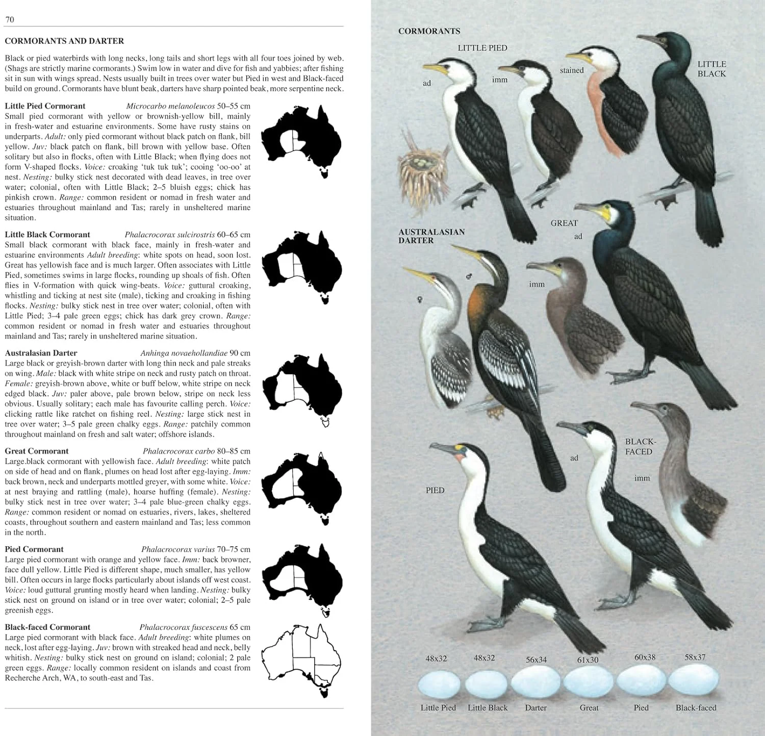 Slater Field Guide To Australian Birds Third Edition - Image 4