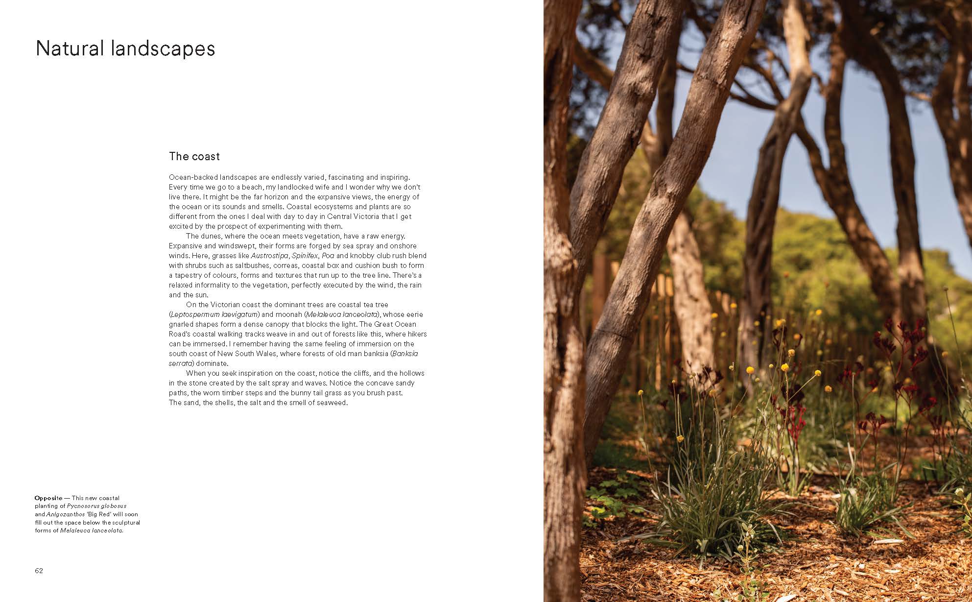 Wild by Design: Naturalistic Gardening for Modern Australian Landscapes - Image 2