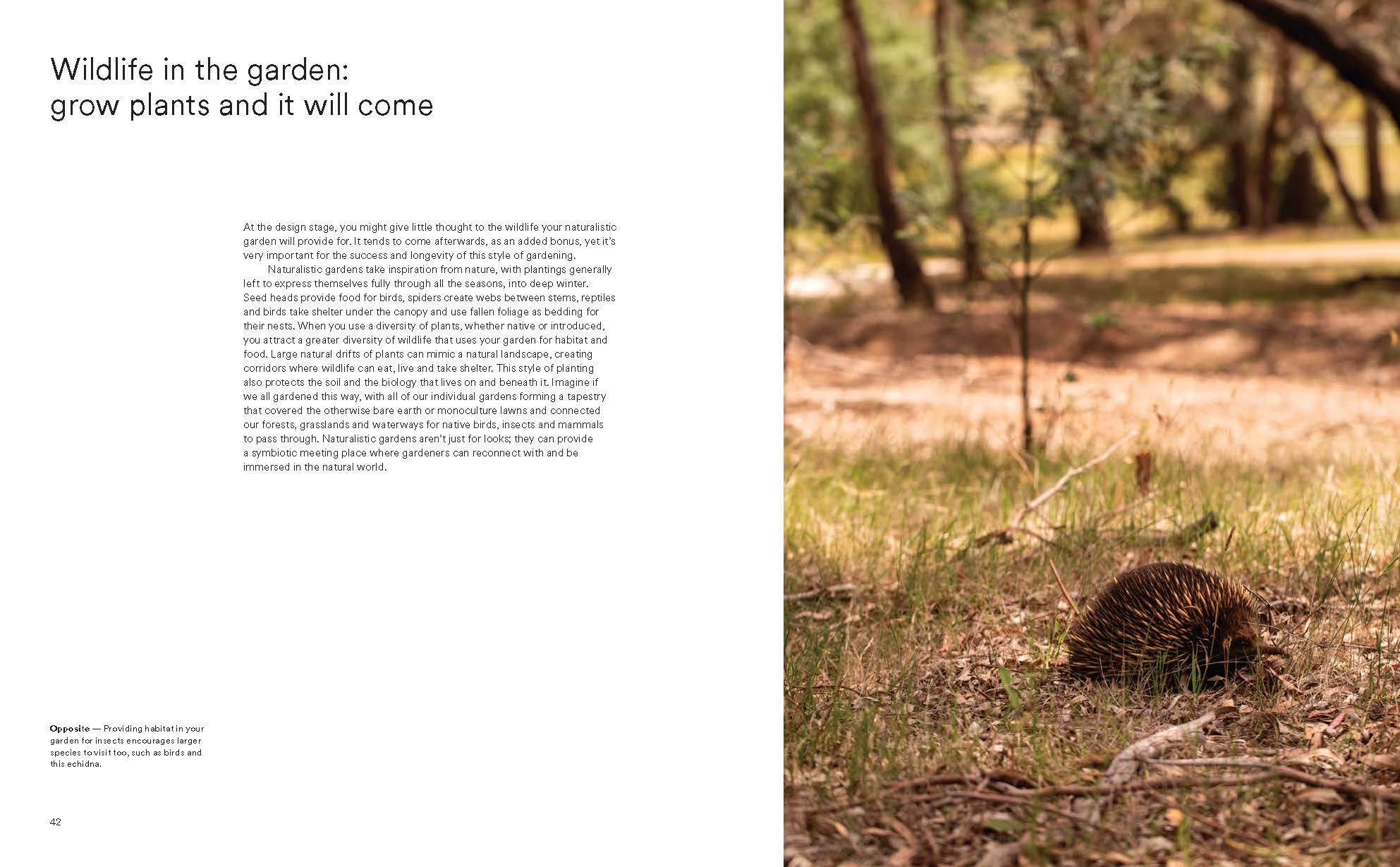 Wild by Design: Naturalistic Gardening for Modern Australian Landscapes - Image 3