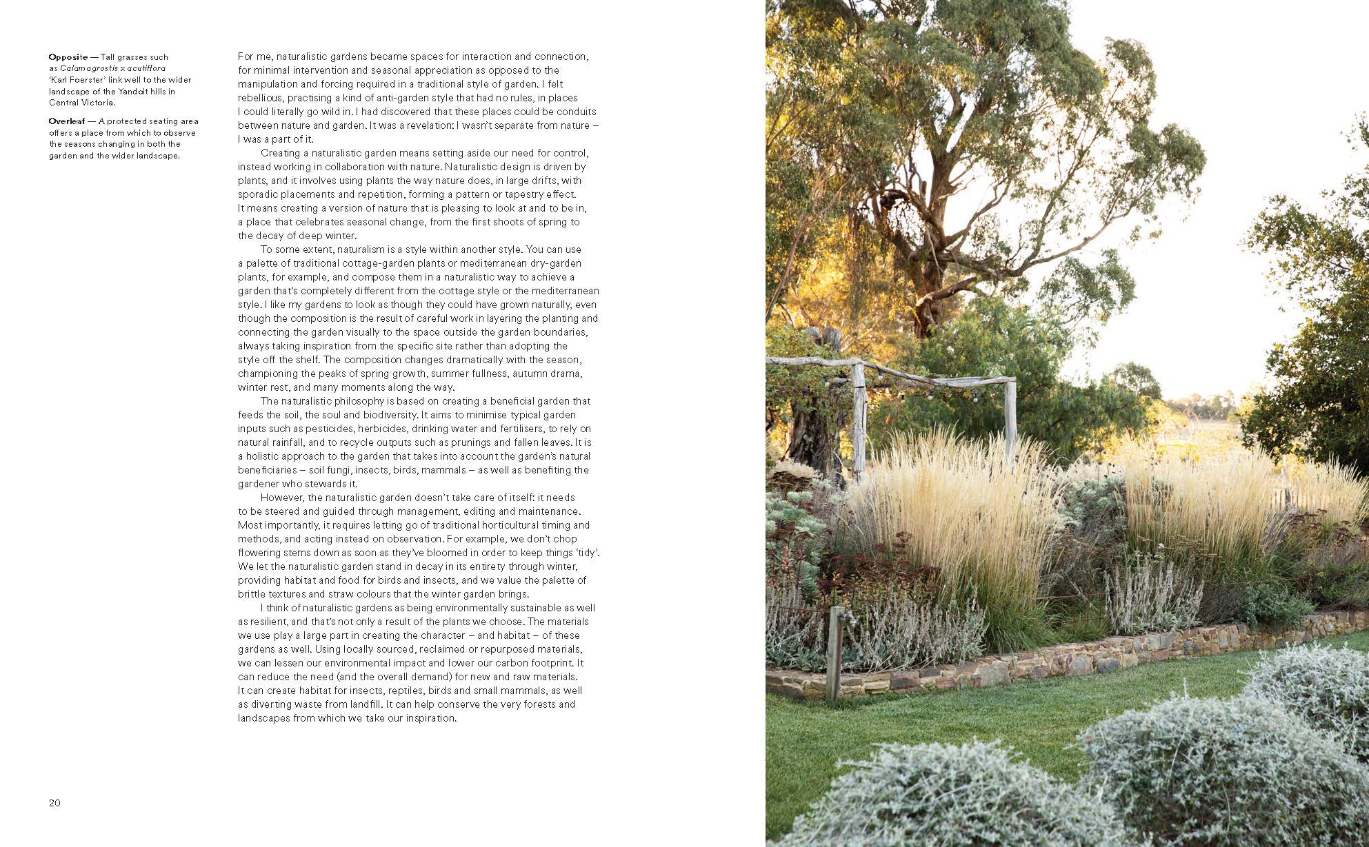 Wild by Design: Naturalistic Gardening for Modern Australian Landscapes - Image 4