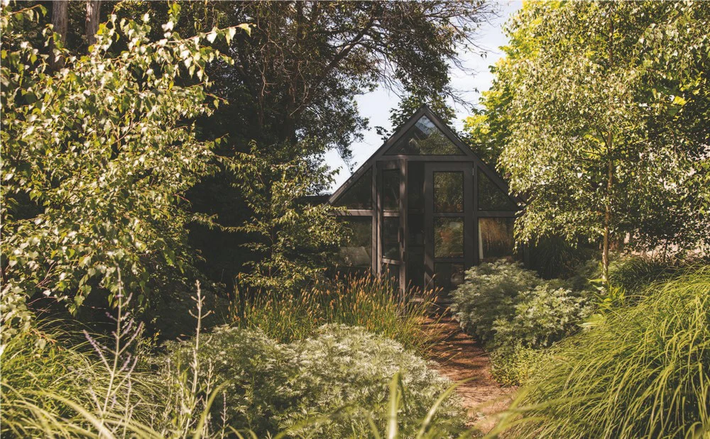 Wild by Design: Naturalistic Gardening for Modern Australian Landscapes - Image 5