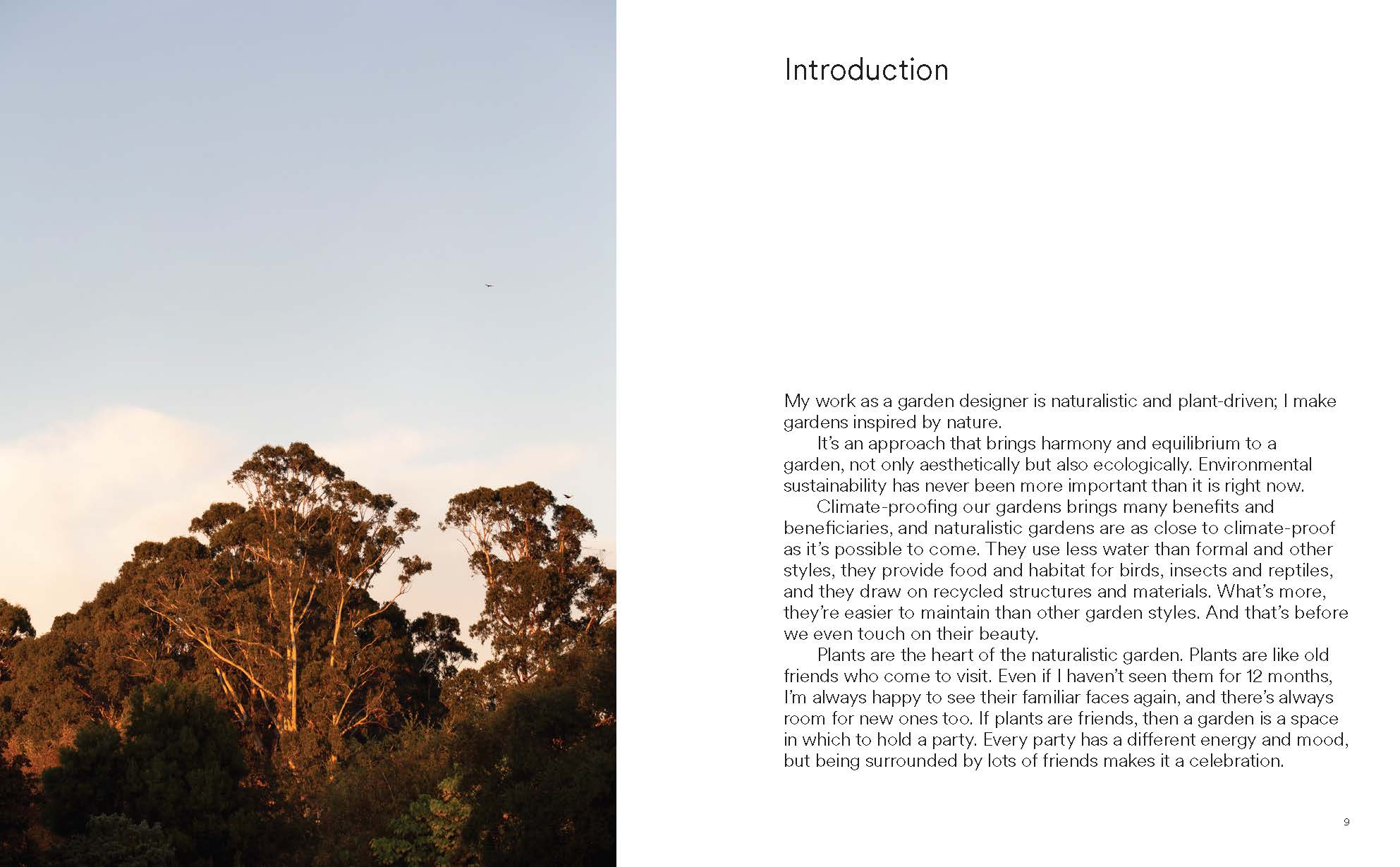 Wild by Design: Naturalistic Gardening for Modern Australian Landscapes - Image 6