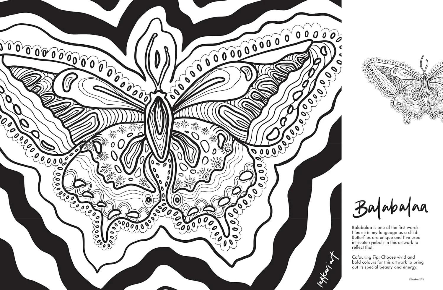 Yuluwirri: A First Nations colouring book - Image 2