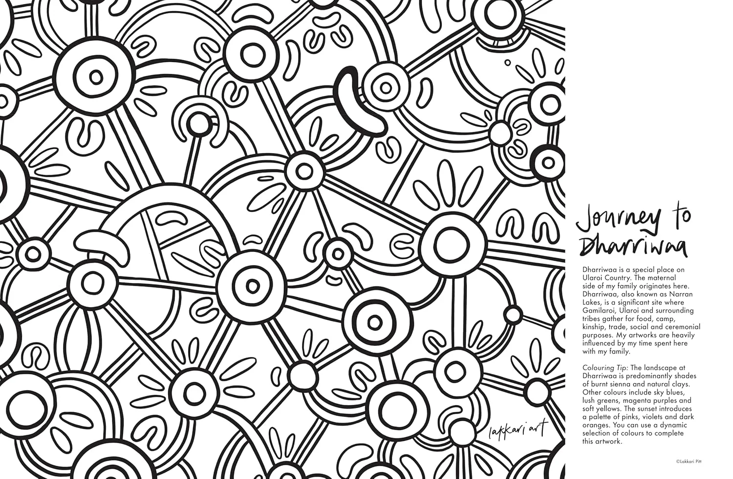 Yuluwirri: A First Nations colouring book - Image 3