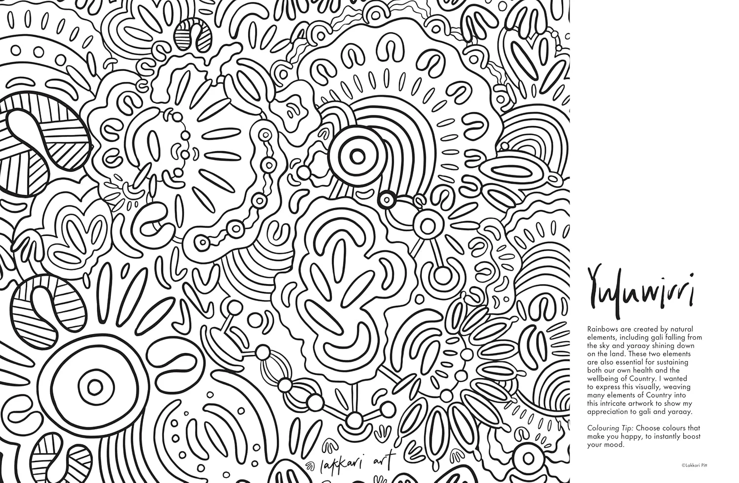 Yuluwirri: A First Nations colouring book - Image 4