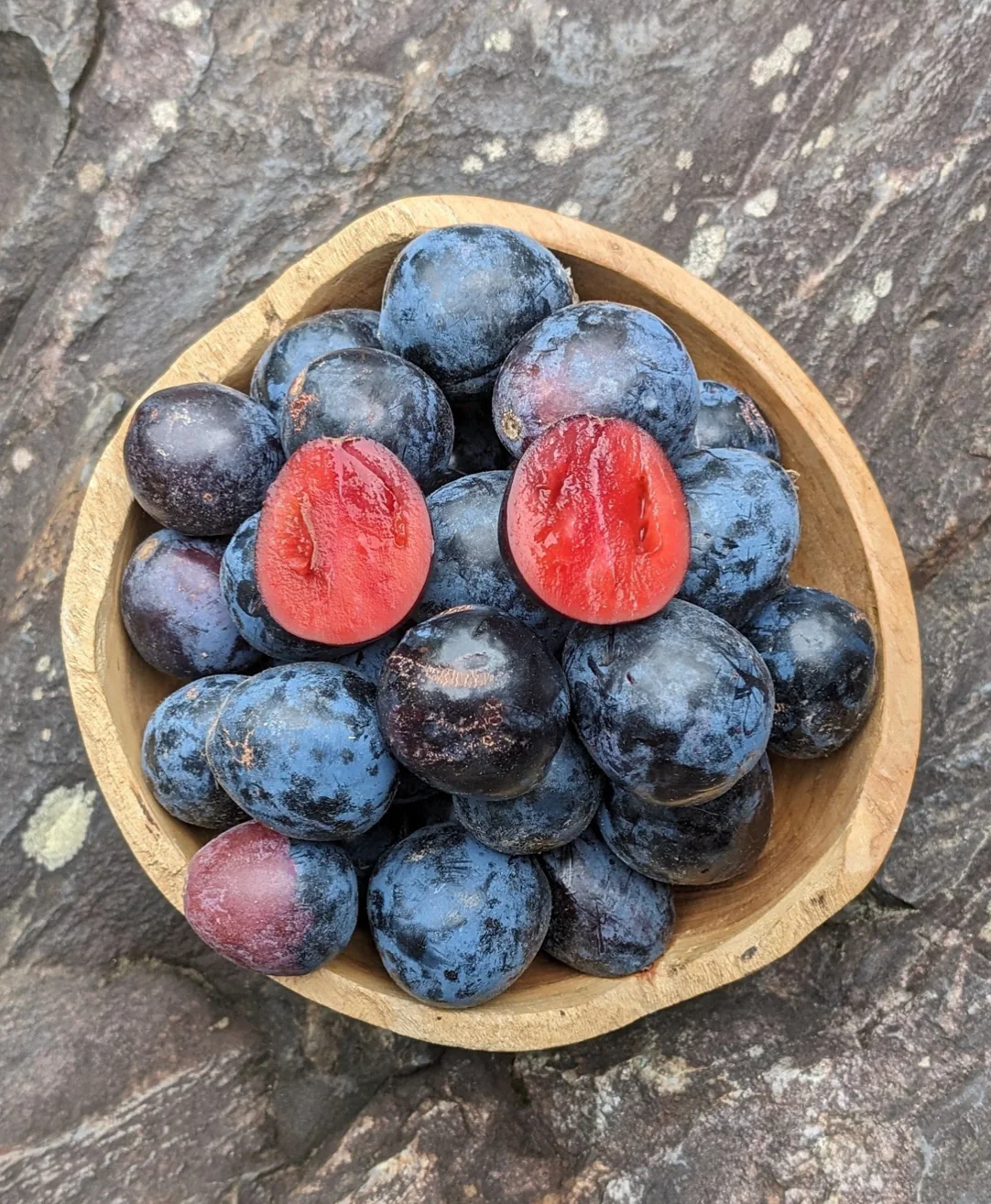 Ziggy's Salted Native Davidson Plum Vinegar - Image 3
